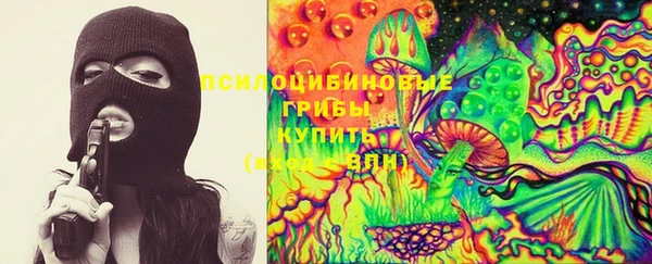 крисы Беломорск