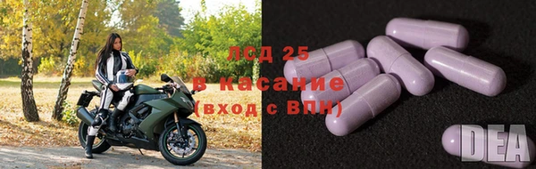 крисы Беломорск