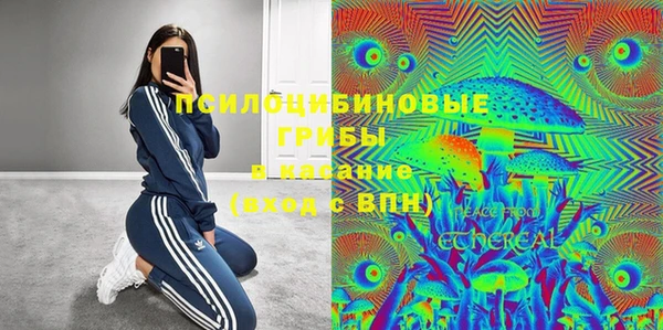 крисы Беломорск