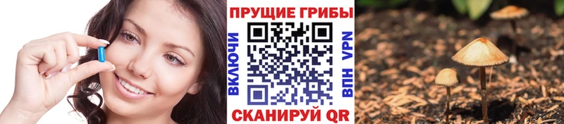 Купить закладки  Обоянь  Галлюциногенные грибы мицелий 